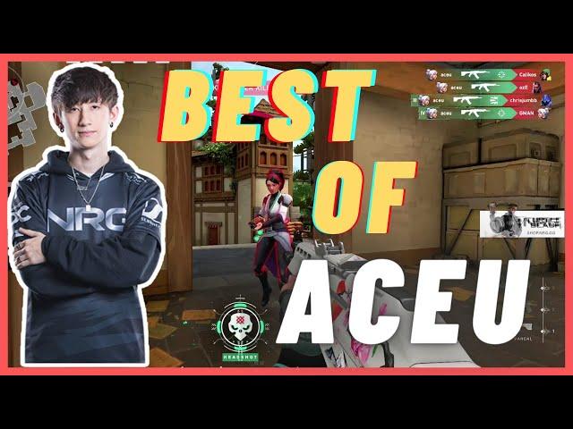 VALORANT   - BEST OF ACEU |   HUMAN AIMBOT |  PRO VALORANT PLAYERS