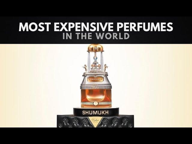 The 10 Most Expensive Perfumes in the World | Data Planet