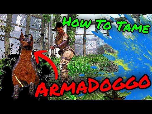 ARMADOGGO How To Tame Guide!! How To Tame the Armadoggo on Extinction in ASA