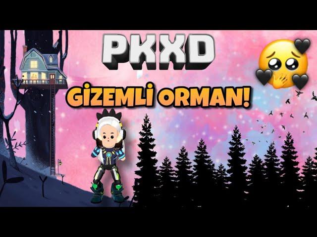 PK XD KİMSENİN BİLMEDİĞİ KARA ORMANA GİTTİM! / GÖKYÜZÜNDEKİ GİZEM🫢