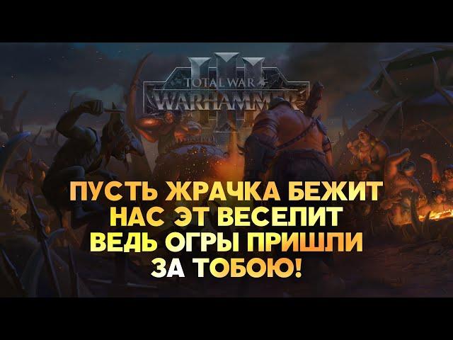 Королевства Огров. Фракции Total War Warhammer 3