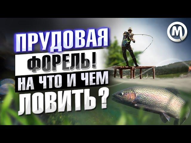 ФОРЕЛЬ на платнике. На что и чем ловить?