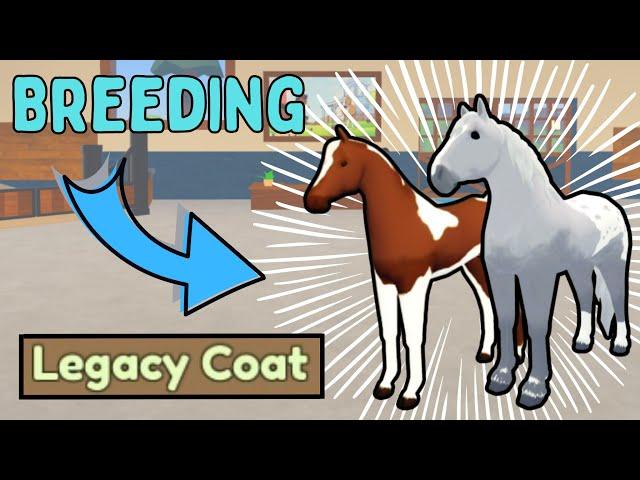 Breeding *LEGACY COATS* | Wild Horse Islands