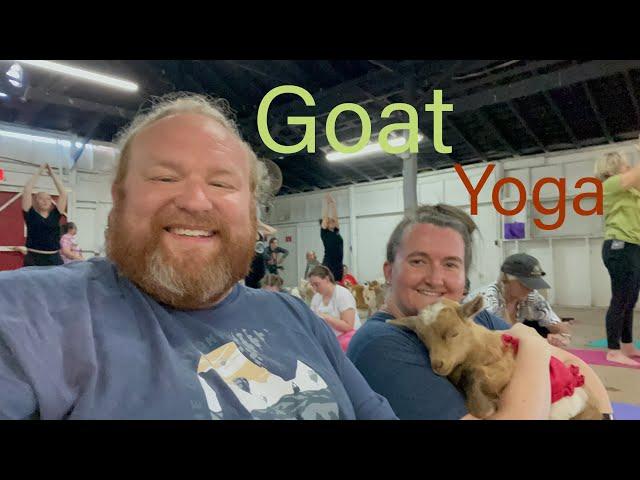 Goat Yoga in The Smokies