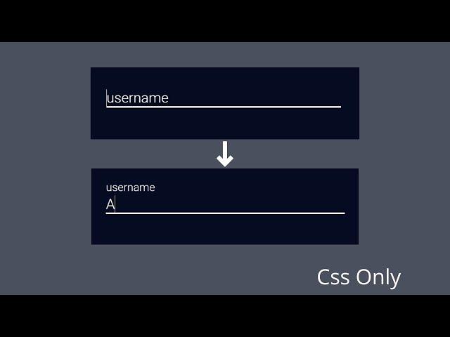 Input Animations Using HTML and CSS | CodeWithSanjoy