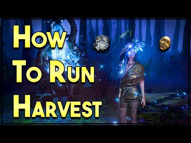 Make Consistent Currency with Harvest!