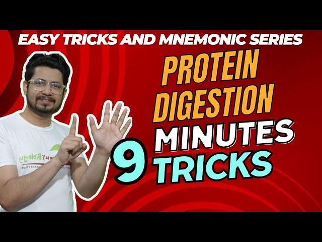 Protein digestion | Chemical digestion of proteins | list of enzymes | tricks to remember