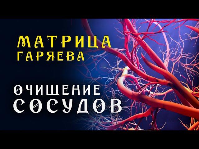 Матрица Гаряева Мощная Очистка Сосудов Всего Тела ️ Квантовое исцеление звуком