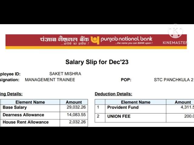 PNB PO 1st Salary ️ || IBPS PO 1st Salary Slip || IBPS PO latest salary Slip #ibpspo #pnb #salary