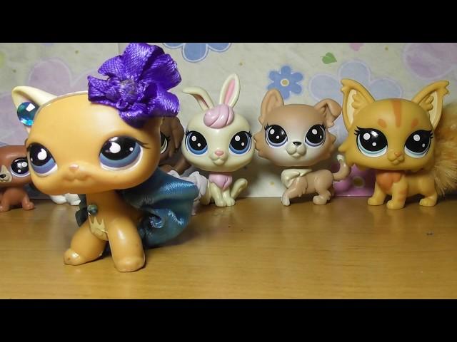 LPS: Большая распаковка Littlest Pets Shops 2017 / Large unpacking LPS 2017