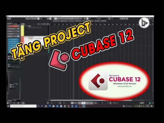 Tặng project cubase 12 pro full 64 bit chất lượng âm thanh cực hay | LÂM PHÁT studio |