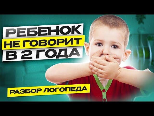 Ребенок НЕ ГОВОРИТ в 2 года. Плохо понимает речь. На что обратить внимание?