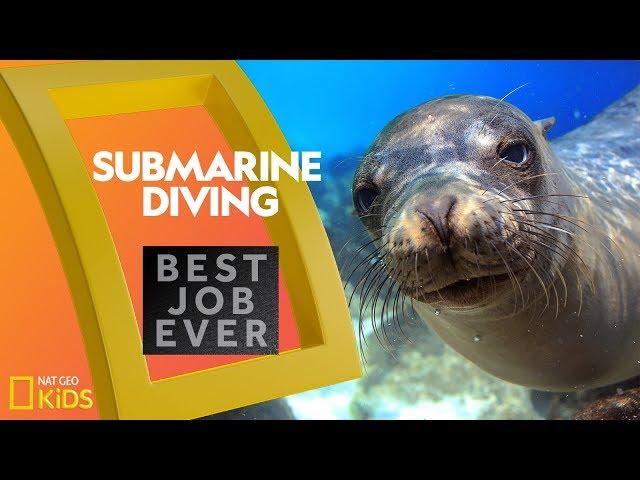 Submarine Diving in the Galápagos | Best Job Ever | Nat Geo Kids