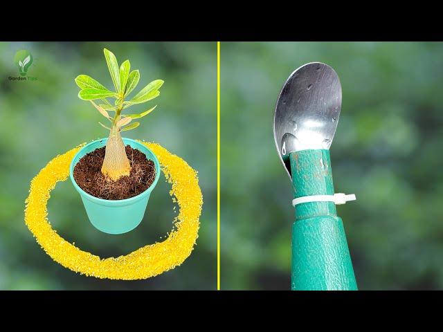  5 NEW Genius Garden Hacks That Will Save You Hundreds! 