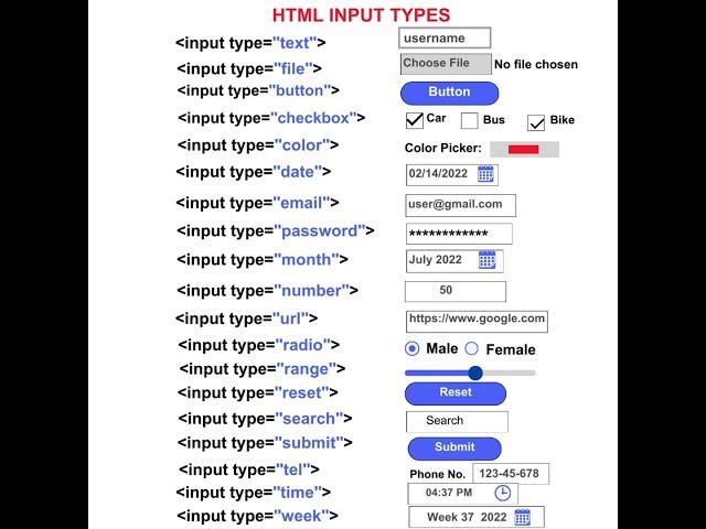 HTML Input Tags List Tutorial For Beginners (Web Development)