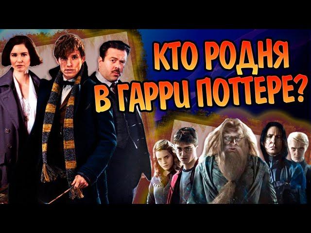 Какие герои Гарри Поттера и Фантастических Тварей родственники?