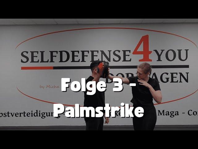 Folge 3 - Palmstrike