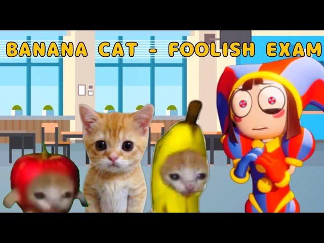 BANANA CAT - FOOLISH EXAM ( DAY 1 to 26 ) #bananacat #elgato #happycat #catmemes #fyp #funny