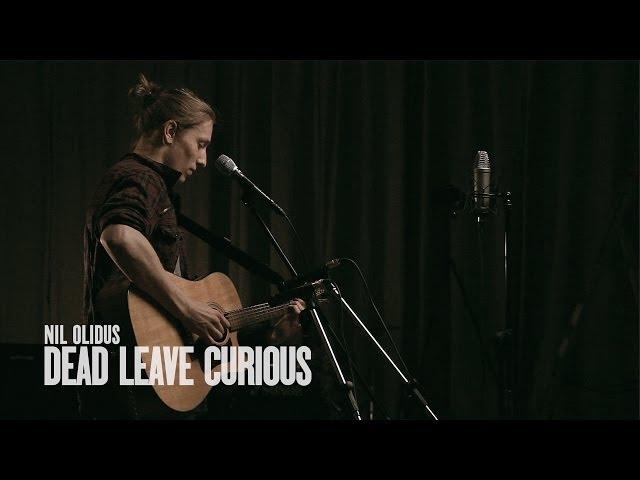 Nil Olidus - Dead Leave Curious (ШOOM_live)