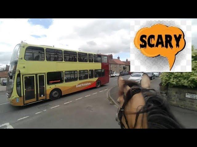 Bella finds the double decker bus scary, but doesn't panic. Good Girl Bella