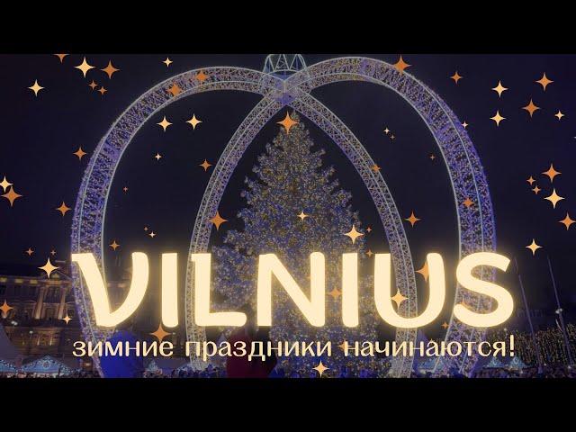 Все на РОЖДЕСТВЕНСКОЙ ЯРМАРКЕ в Вильнюсе — что купить, как атмосфера? Зимние праздники в Литве