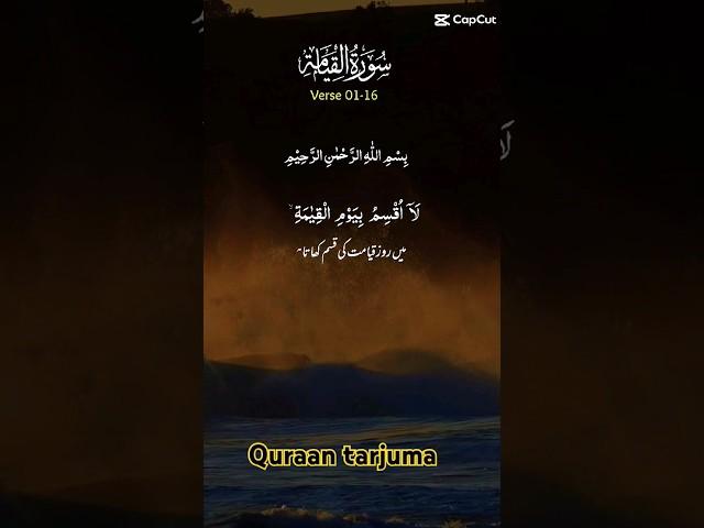 surha ibraheem short tarjuma quraan #islamicshort # most.varil translation