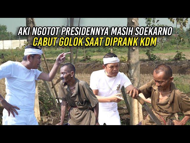 AKI PENCARI KAYU NGOTOT PRESIDENNYA MASIH SOEKARNO | CABUT G0L0K SAAT DIPRANK KDM