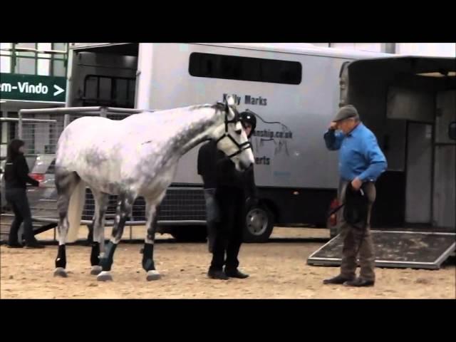 Monty Roberts and Freddie the non-loader at Hartpury College (2013)