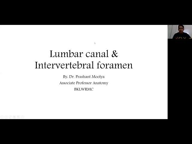 Intervertebral foramen and Lumbar canal anatomy for Endoscopic trans-foraminal approach