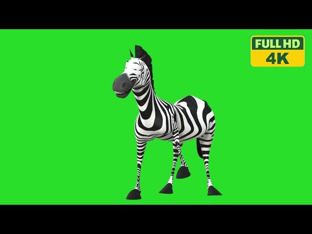 3D Zebra Magic: Green Screen Animation for Stunning Videos | 4K Quality| #copyrightfree #royaltyfree