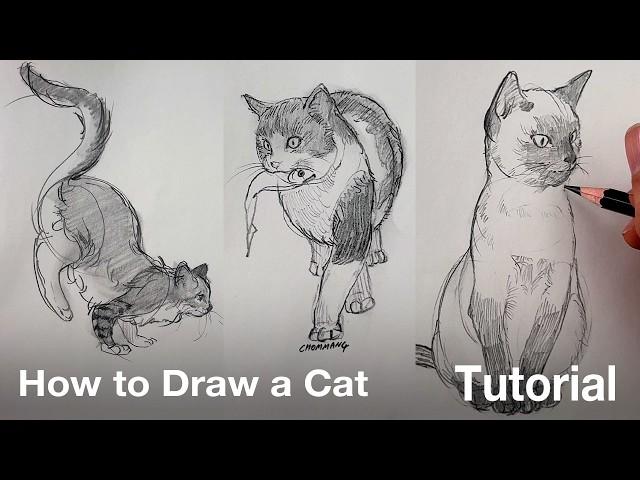 How to Draw a Cat (Tutorial)