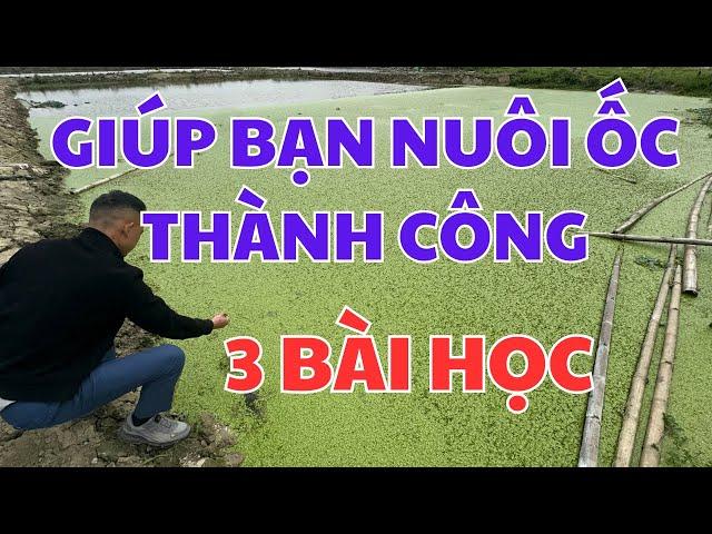 3 BÀI HỌC sẽ giúp bạn Nuôi Ốc Nhồi THÀNH CÔNG