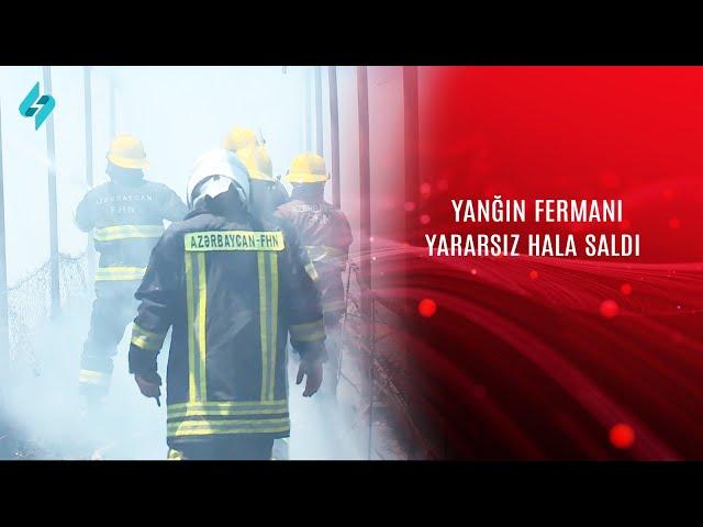 Şəkidə fermada yanğın @Kanal-S