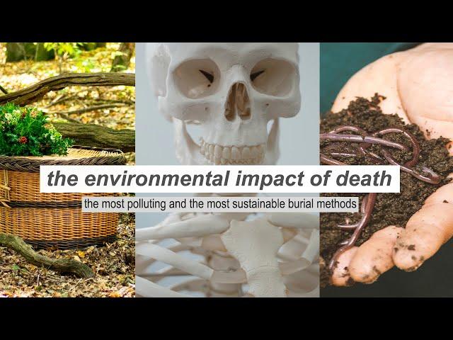 The Impact of Death // pollution post mortem + sustainable burial methods