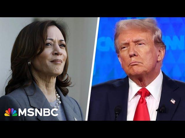 Trump campaign should be 'really concerned' about excitement over Harris