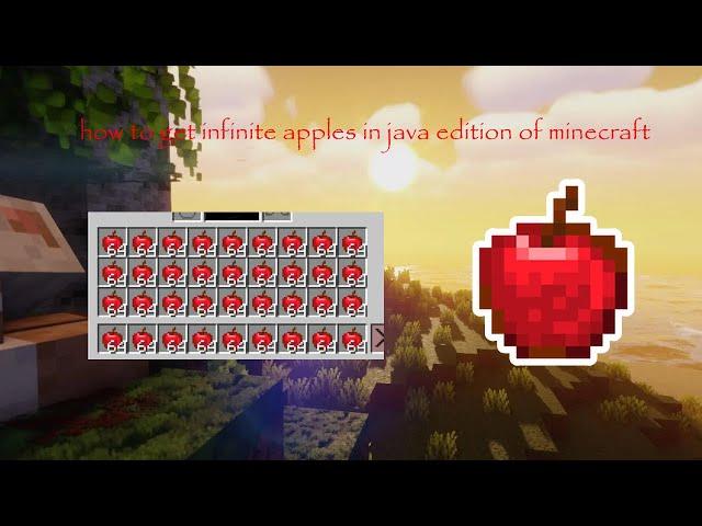 NEW MINECRAFT DUPE 1.20.4 | INFINITE APPLE DUPE | PAPERMC / SPIGOT | WORKS ON ALL SERVERS