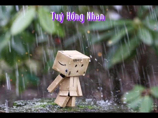 Lá Là là lá la là la… | Tuý Hồng Nhan | Nhạc Thư Giản hay nhất | Relaxing Music