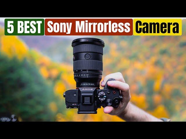 Best Sony Mirrorless Cameras of 2024