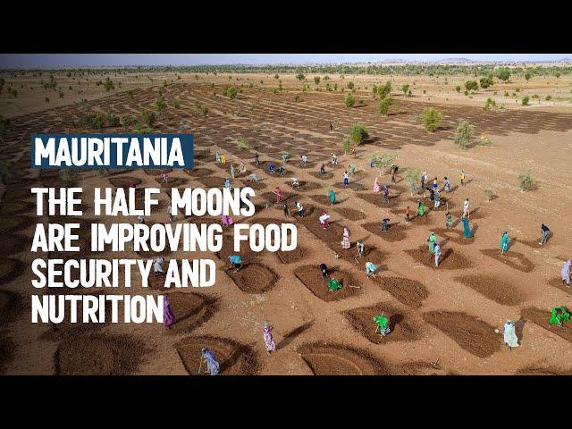 Half-moons greening Mauritania