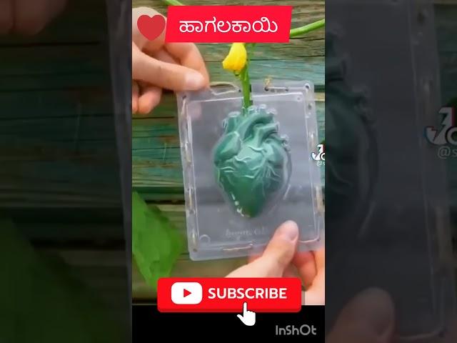 Heart Touching |WhatsApp Status #shorts #viralshorts #templetel