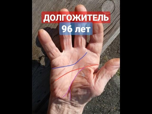 #short #shorts #palmistry #хиромантия