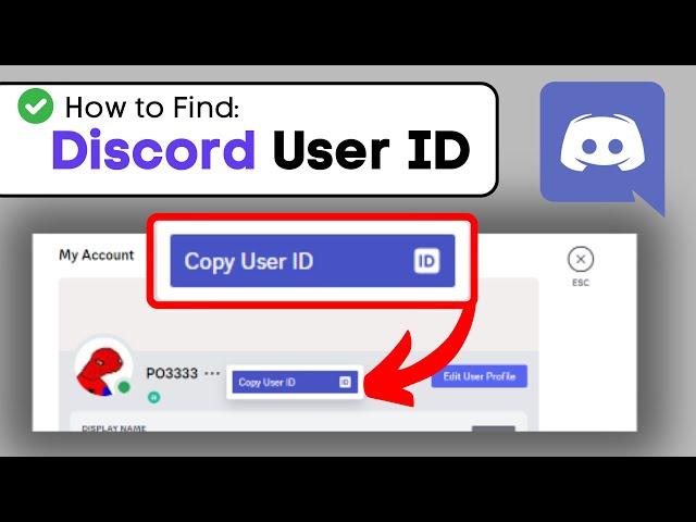 How To Find Your User ID on Discord - Full Guide (2024)