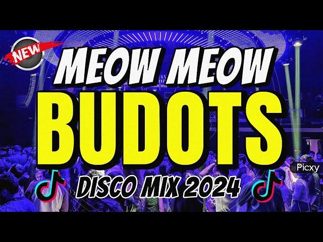 MEOW MEOW - TIKTOK BUDOTS REMIX - DJ JOHNREY DISCO REMIX