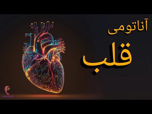 آموزش آناتومی قلب به زبان ساده