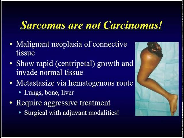 Miller's Orthopaedic Lectures: Pathology 1