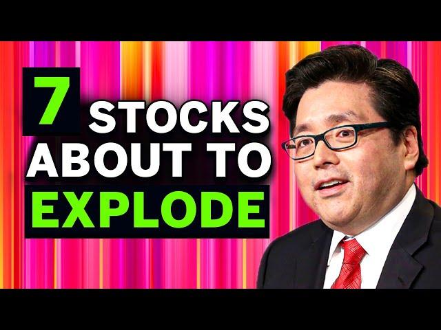 Tom Lee’s NEW Stocks to BUY NOW in July 2024 (High Growth Stocks) 
