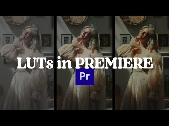 How to Use LUTs in Premiere Pro [Color Grading Tutorial]