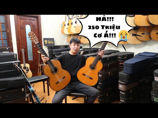 TRẢI NGHIỆM SHOP GUITAR NHẬT CŨ Ở HÀ NỘI (Nhạc cụ Linh Nhi)