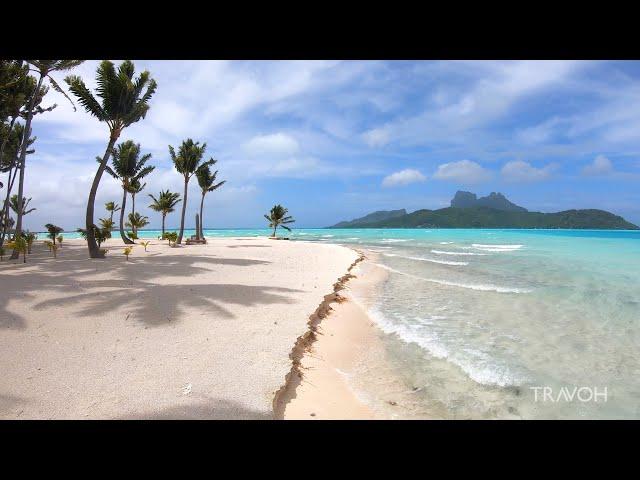 Tropical Island Walk | Ocean Beach Nature | Motu Tane | Bora Bora, French Polynesia  | 4K Travel