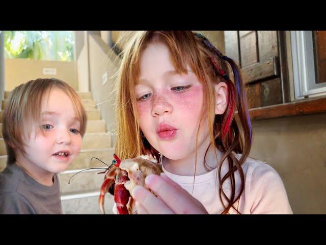 SURPRiSE CRAB and Beach Birthday Party!!  Adley & Niko find animals! our last day of family trip fun